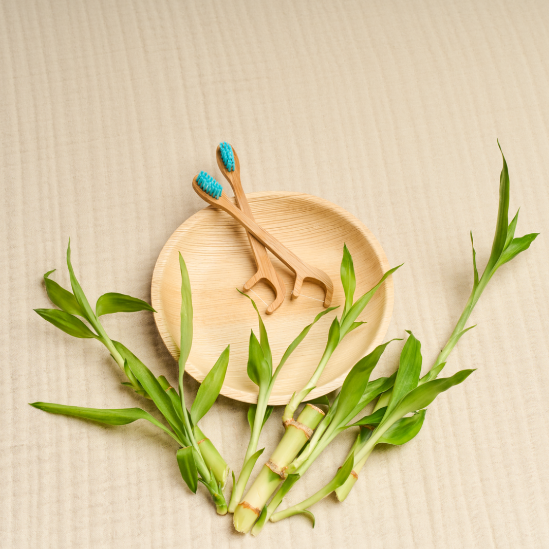 Bamboo Toothbrush On The Go