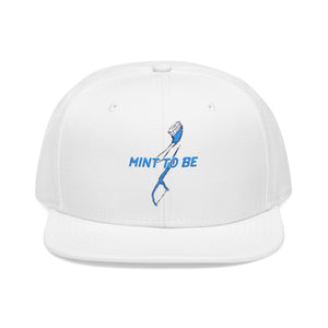 Mint To Be Embroidered Snapback