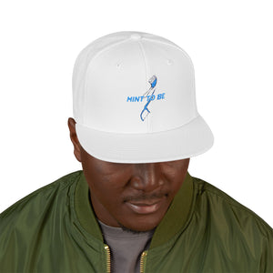 Mint To Be Embroidered Snapback