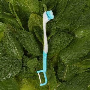 Stay Fresh On-The-Go