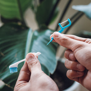 Stay Fresh On-The-Go